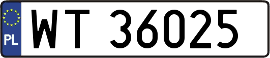 WT36025