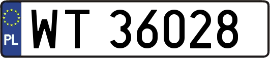 WT36028