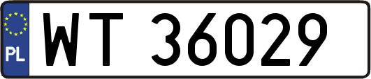 WT36029