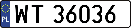 WT36036