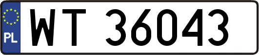 WT36043