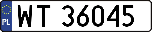 WT36045