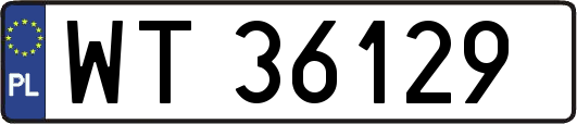 WT36129