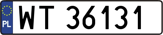 WT36131