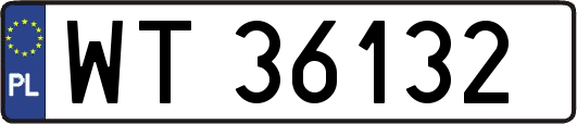 WT36132