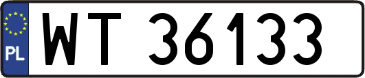 WT36133