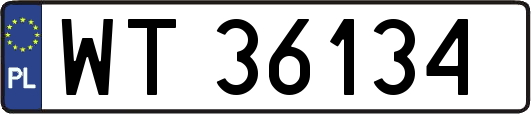 WT36134