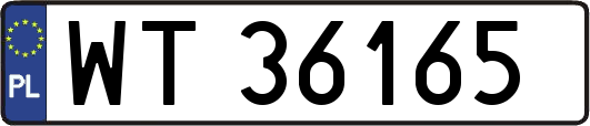 WT36165