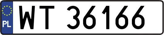 WT36166