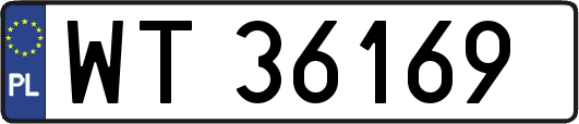 WT36169