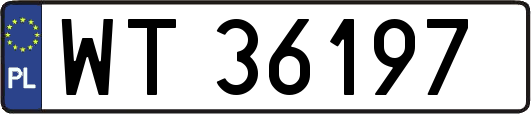 WT36197