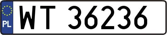 WT36236