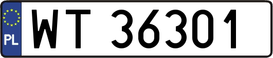 WT36301