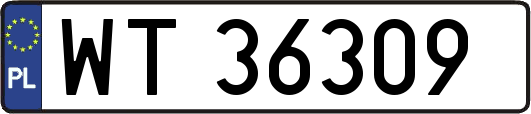 WT36309