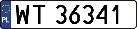 WT36341