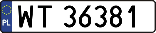 WT36381