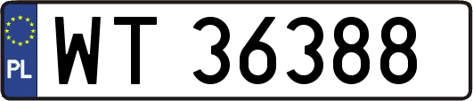 WT36388