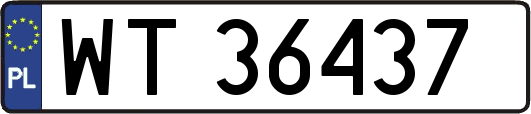 WT36437