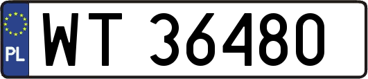 WT36480