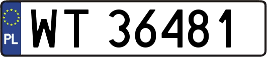 WT36481