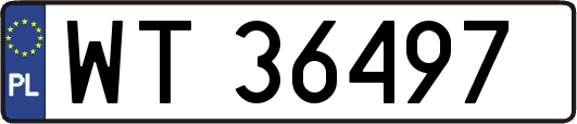 WT36497