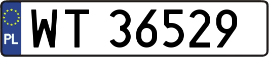 WT36529
