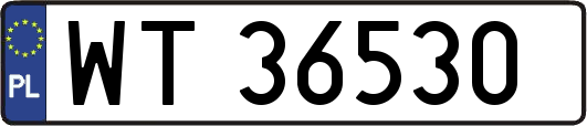WT36530