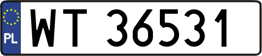 WT36531