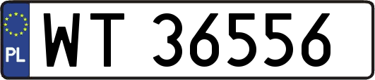 WT36556