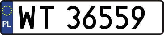 WT36559