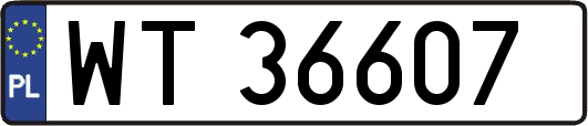 WT36607