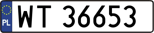 WT36653