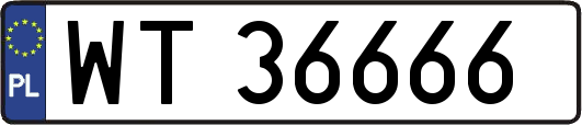 WT36666