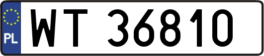 WT36810