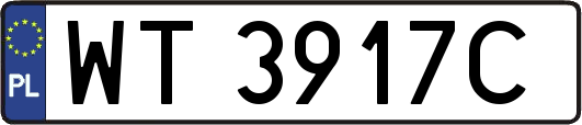 WT3917C