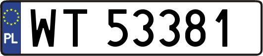 WT53381