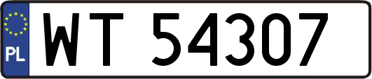 WT54307