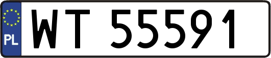 WT55591