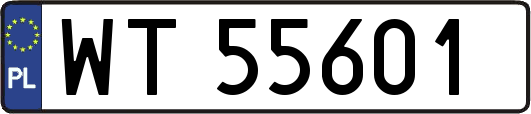 WT55601