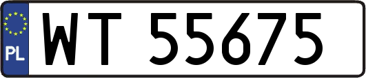 WT55675