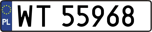 WT55968