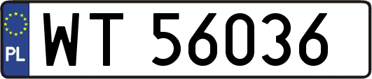 WT56036