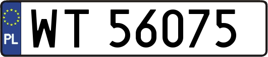 WT56075
