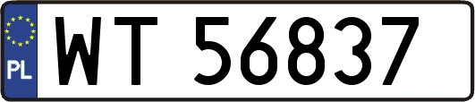 WT56837