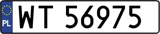WT56975
