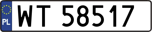 WT58517