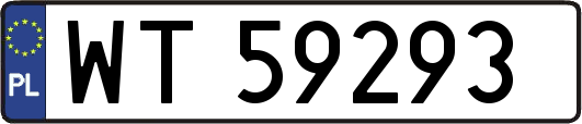 WT59293