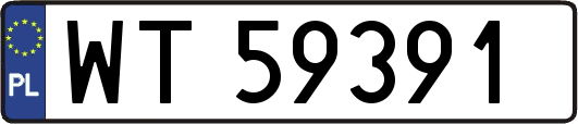 WT59391