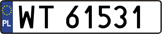 WT61531