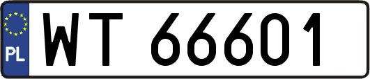WT66601